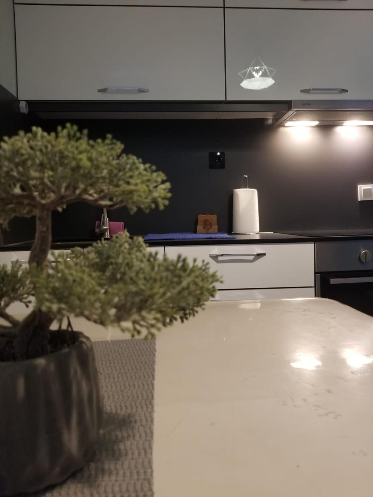Cozy&Comfy Apartment In The Center Of Prishtina Prishtinë Luaran gambar